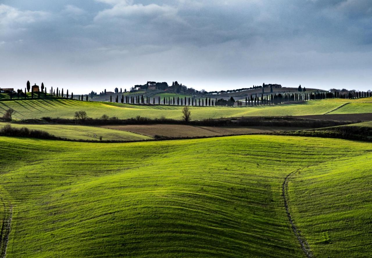 Podere Fossaccio Casa Pino Asciano Exterior foto