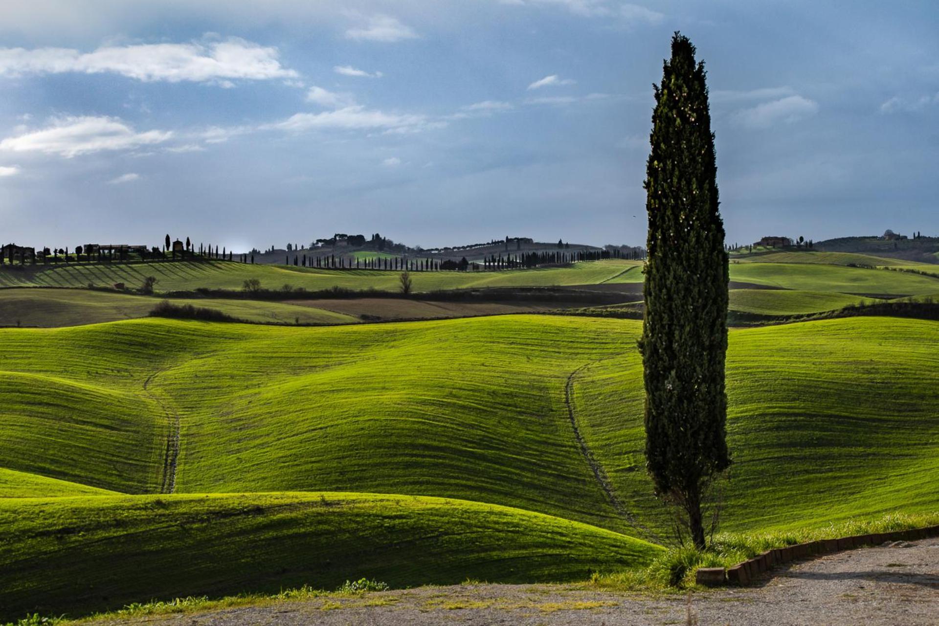Podere Fossaccio Casa Pino Asciano Exterior foto